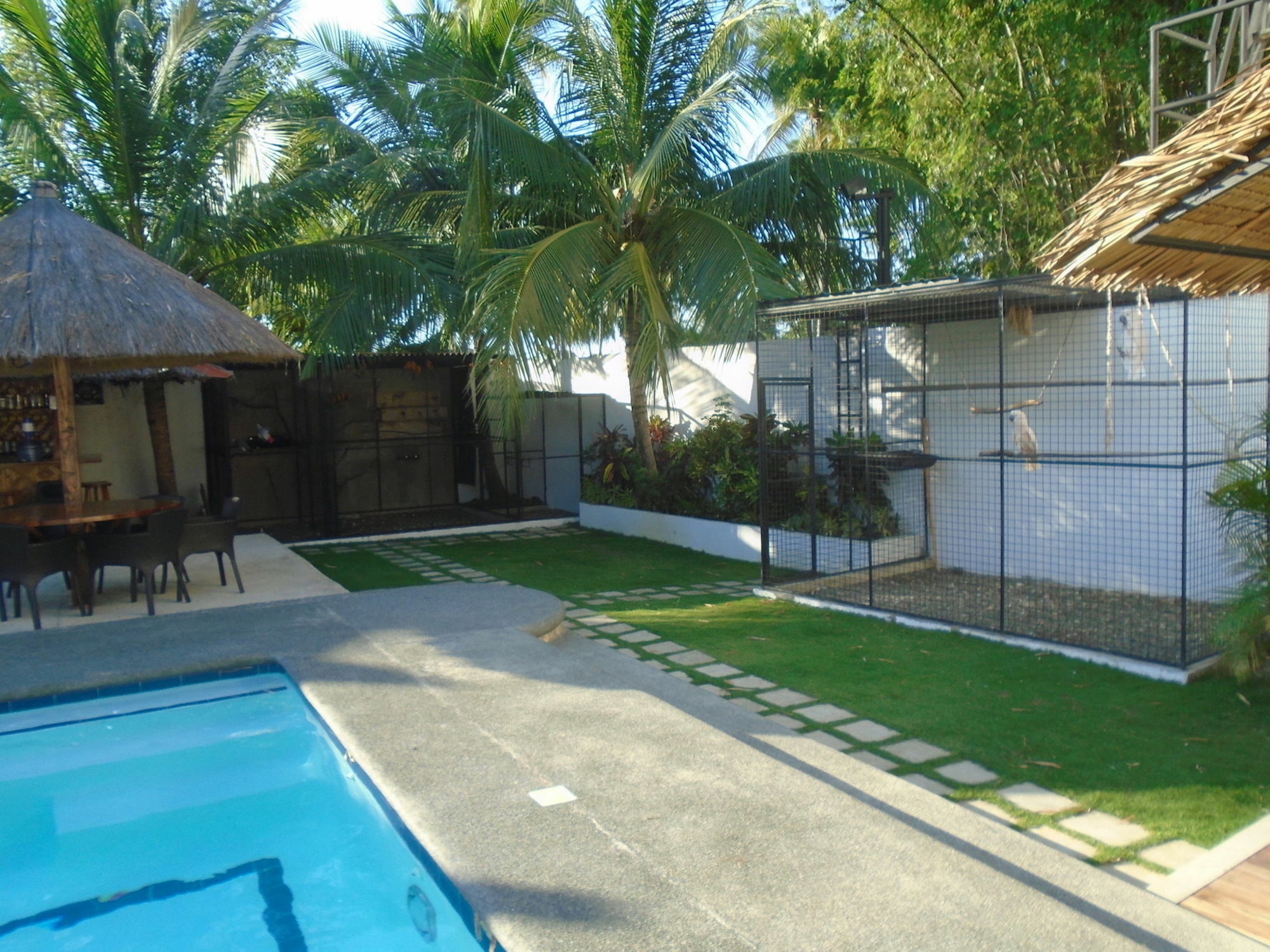 Parrot Resort Moalboal Exterior photo